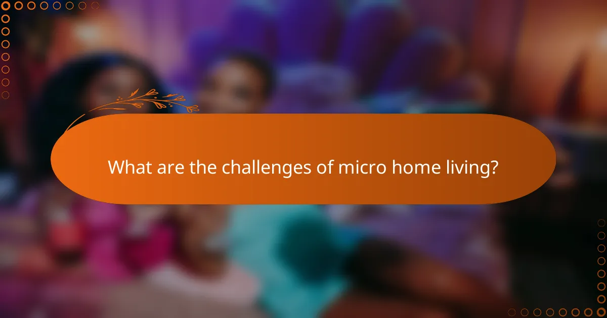 What are the challenges of micro home living?
