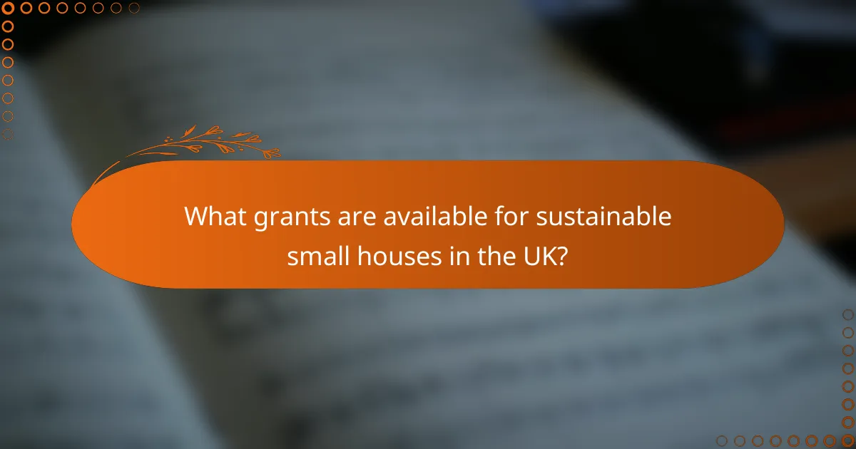 What grants are available for sustainable small houses in the UK?